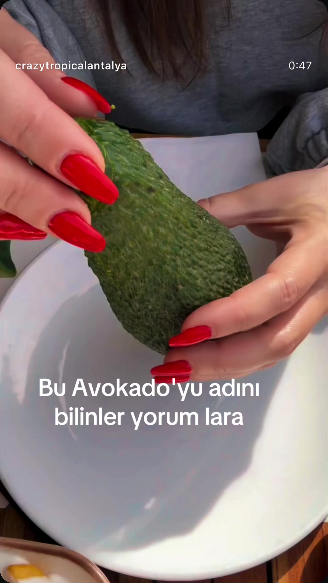 @Crayz tropikalantalya
