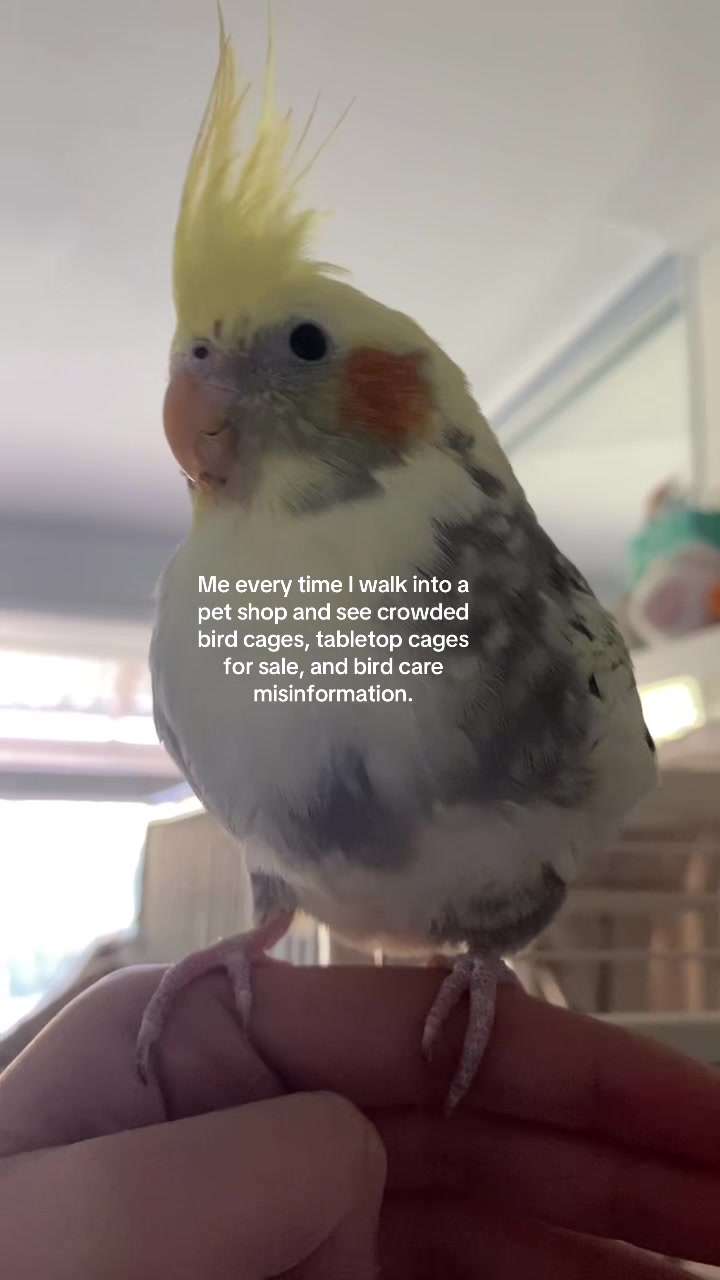 @mybirdjourney;)