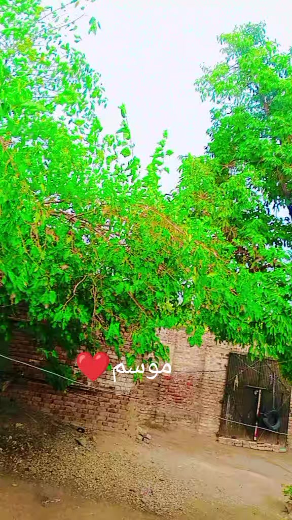 @๖ۣۜShazia khan༻💞࿌𖣘H