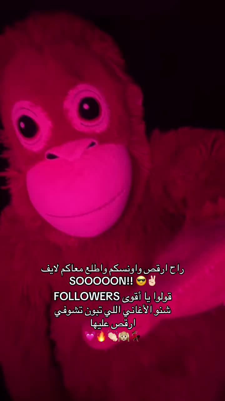 @LaMonkeyFamilia