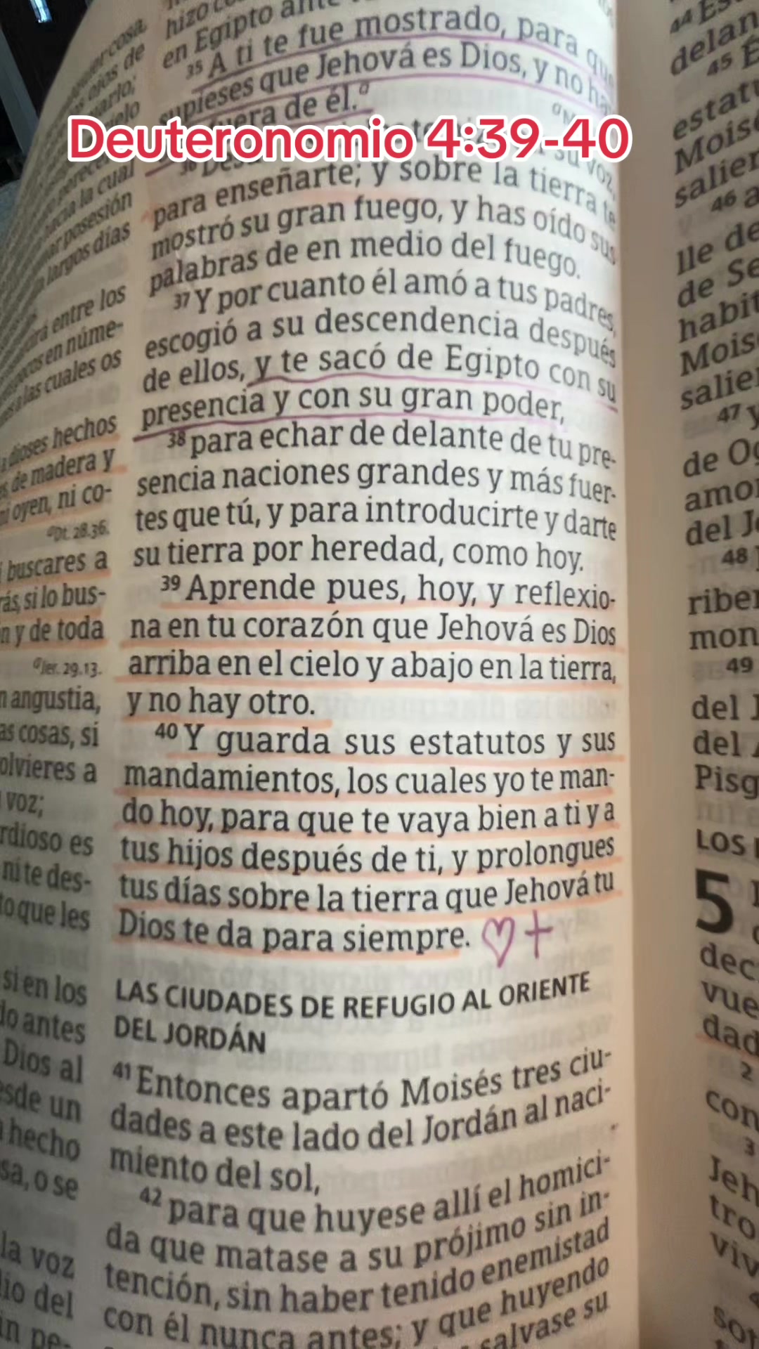 @MC 🌎 Galindo