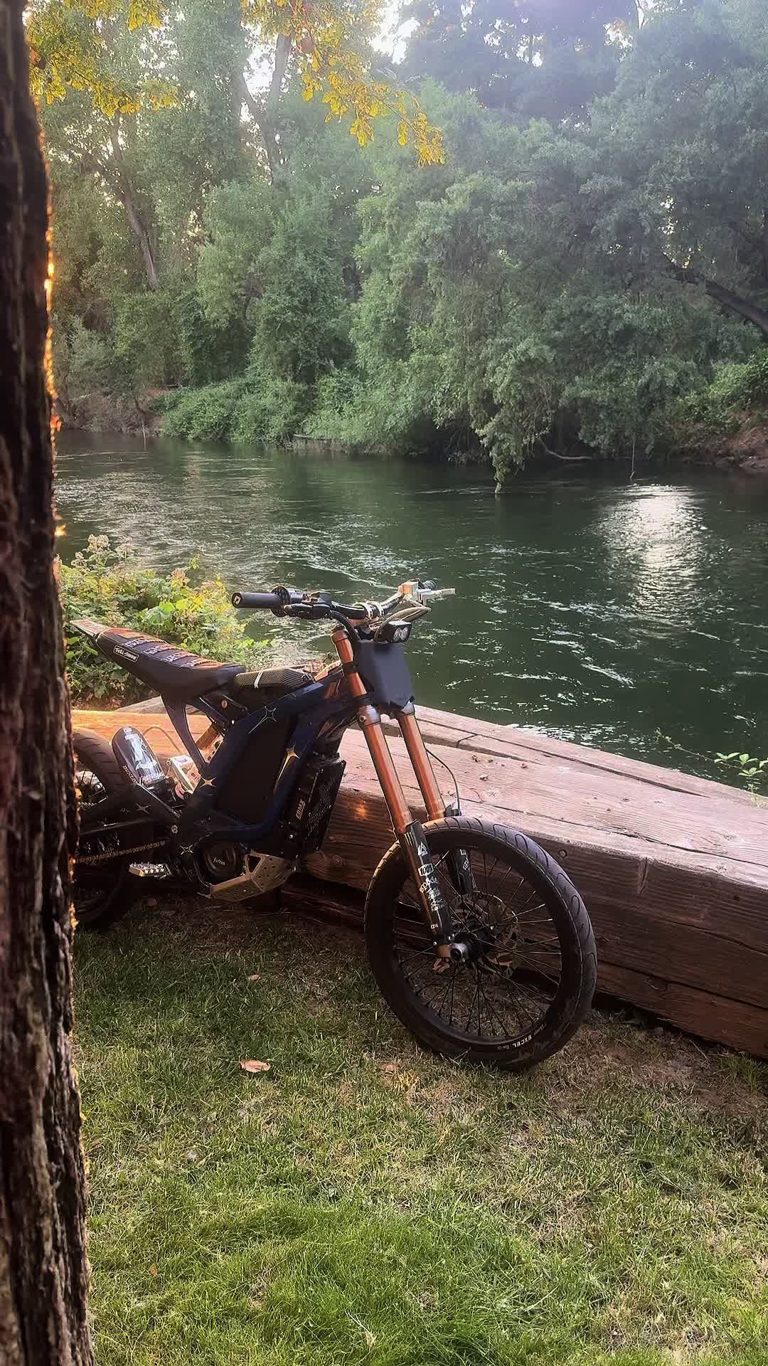 @𝔉🦈
