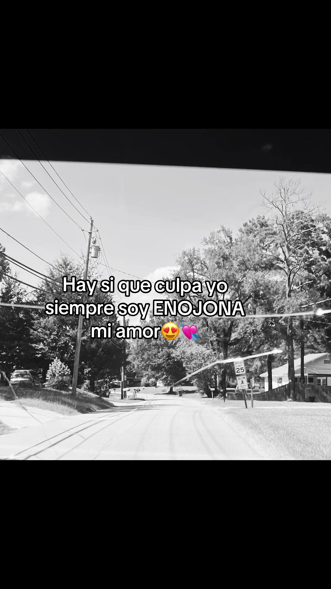 @Flory G 🌺