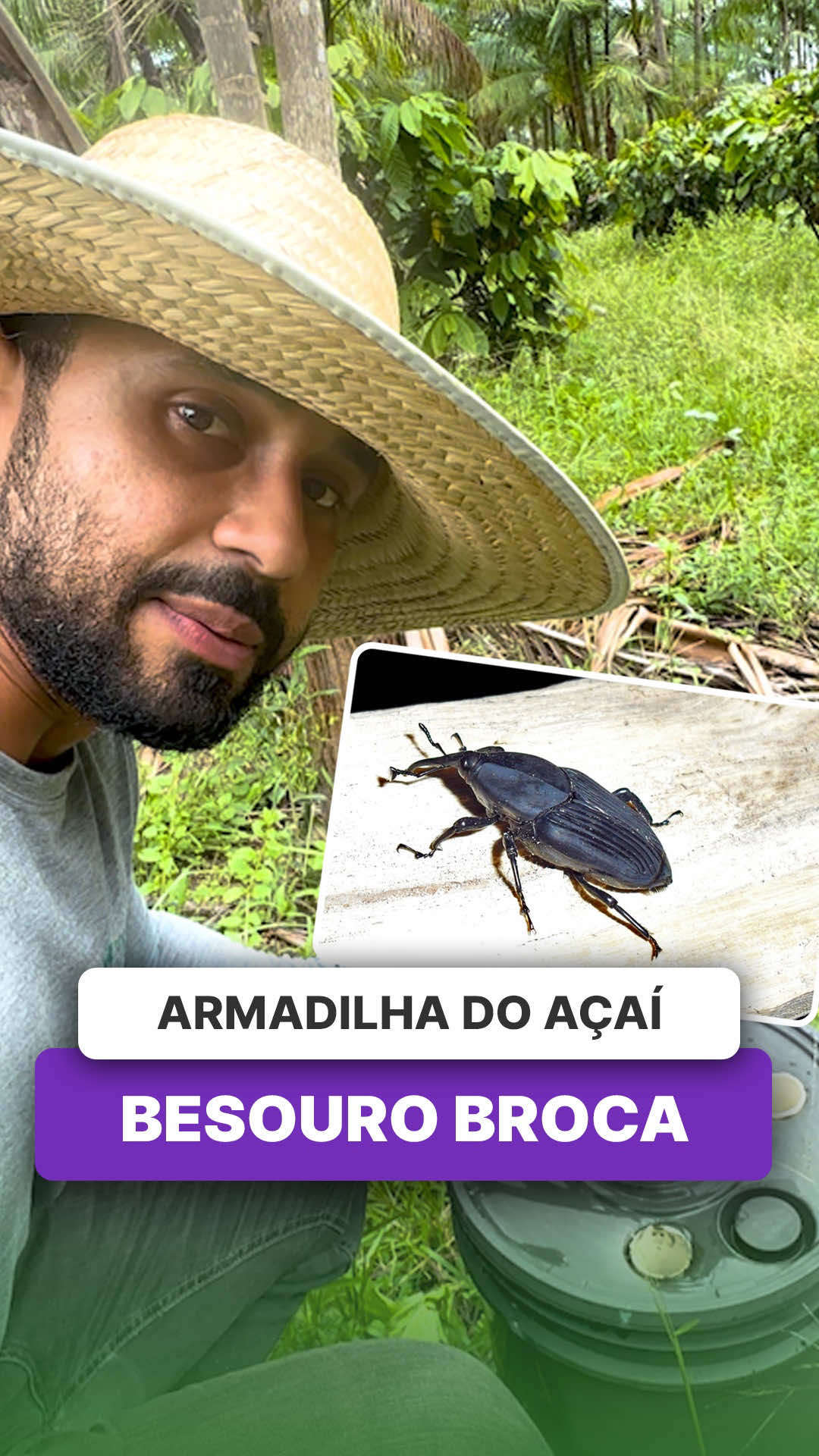 @ViveiroProMudas