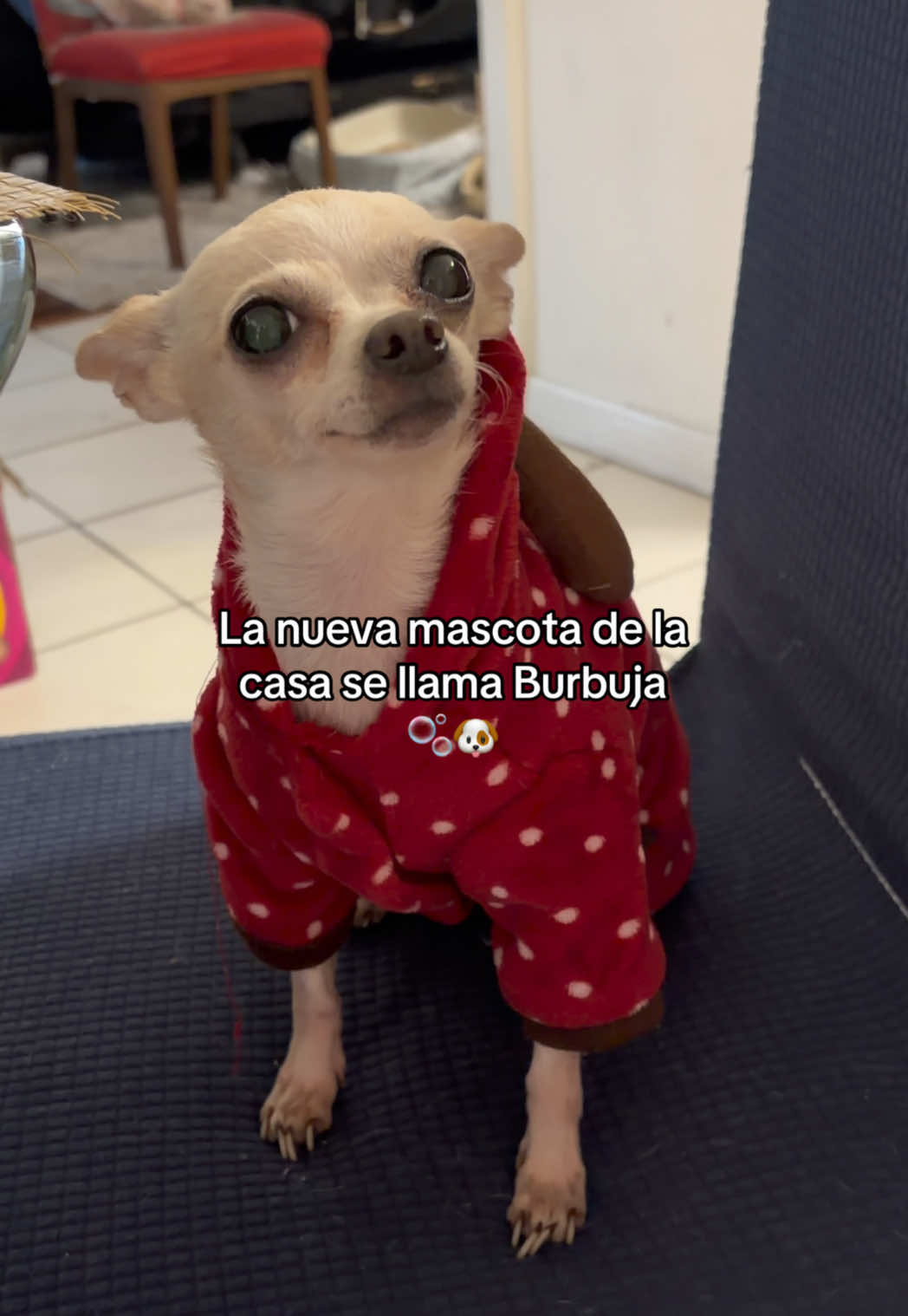@Adriana Abraham
