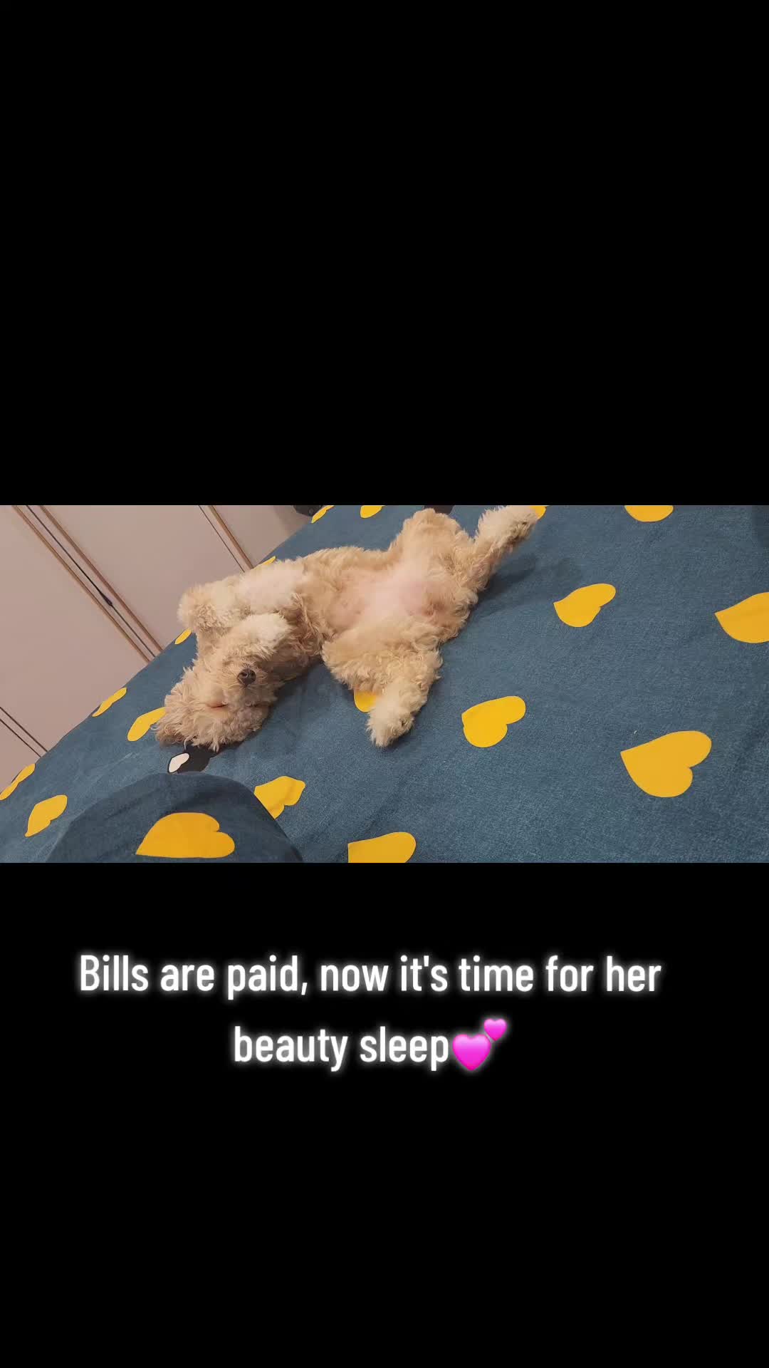 @pixie_hollow19
