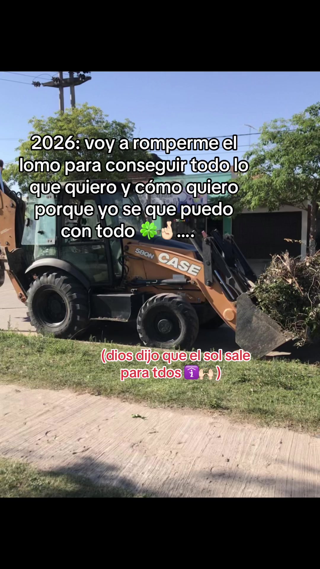 @alexis