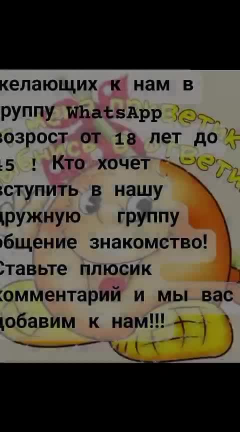 @user5084865435608
