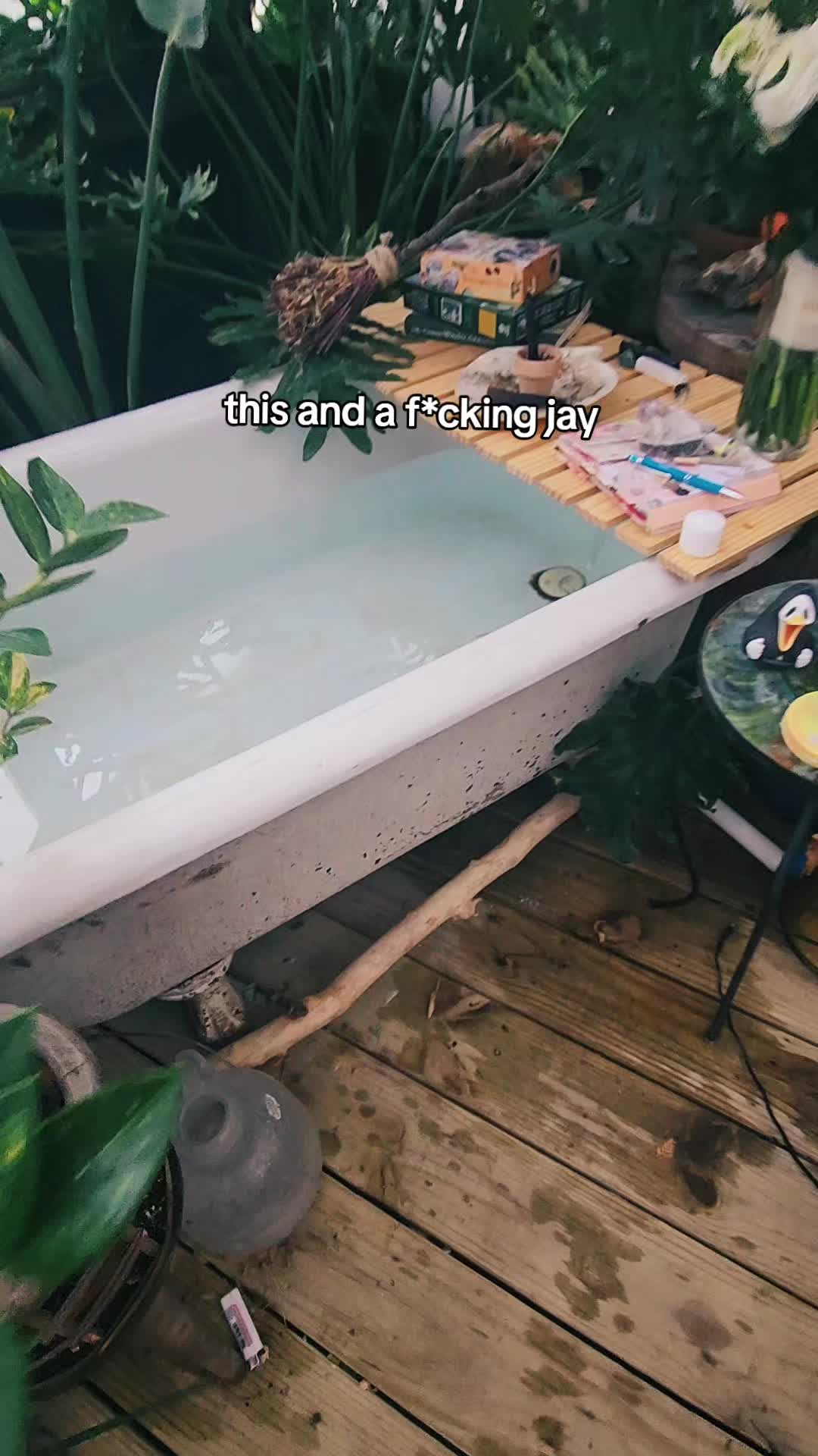 @plantymama🍄🪴💚