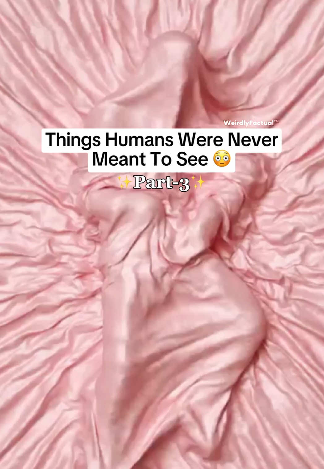 @WeirdlyFactual&trade;