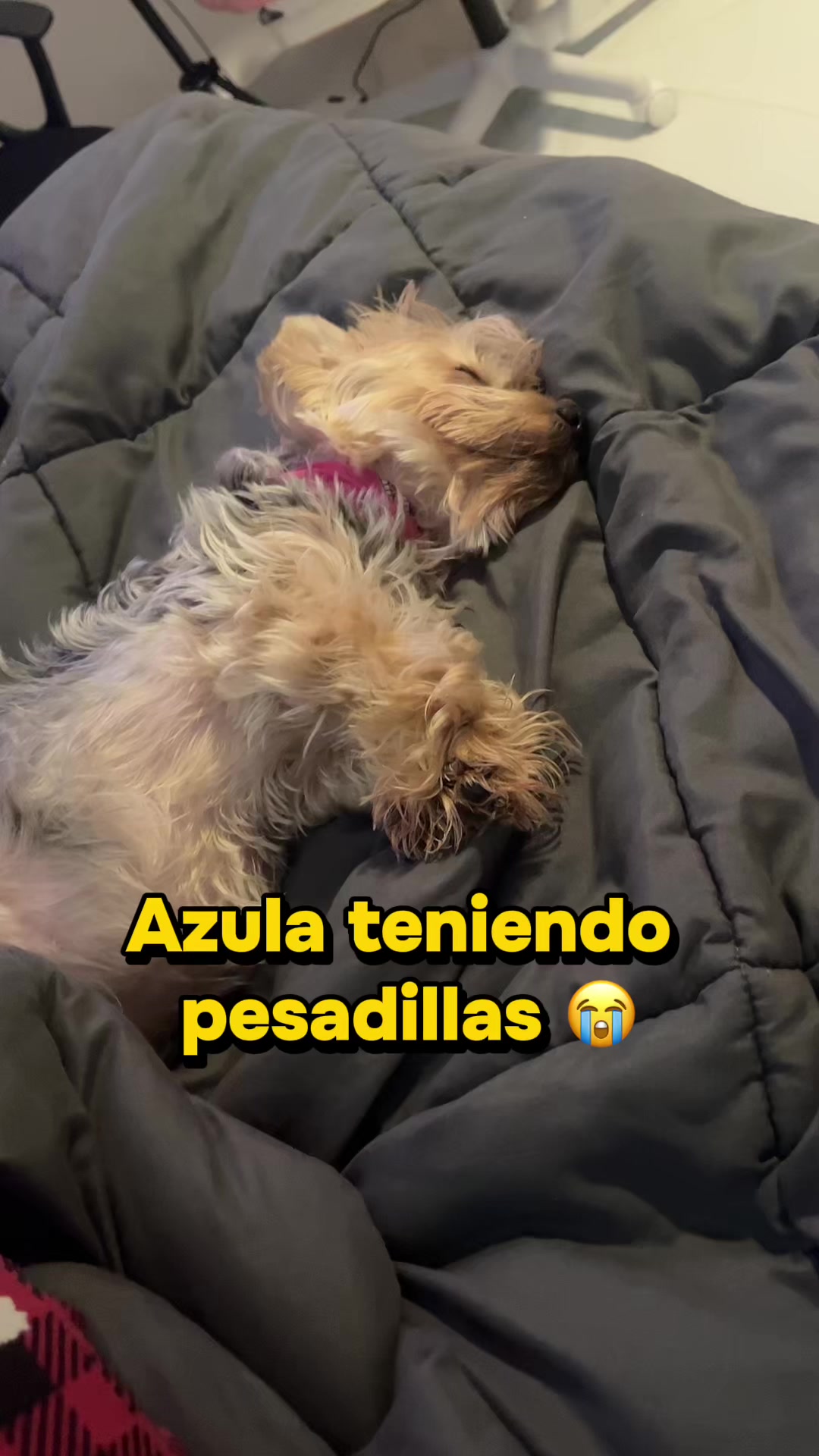 @Totifrutti