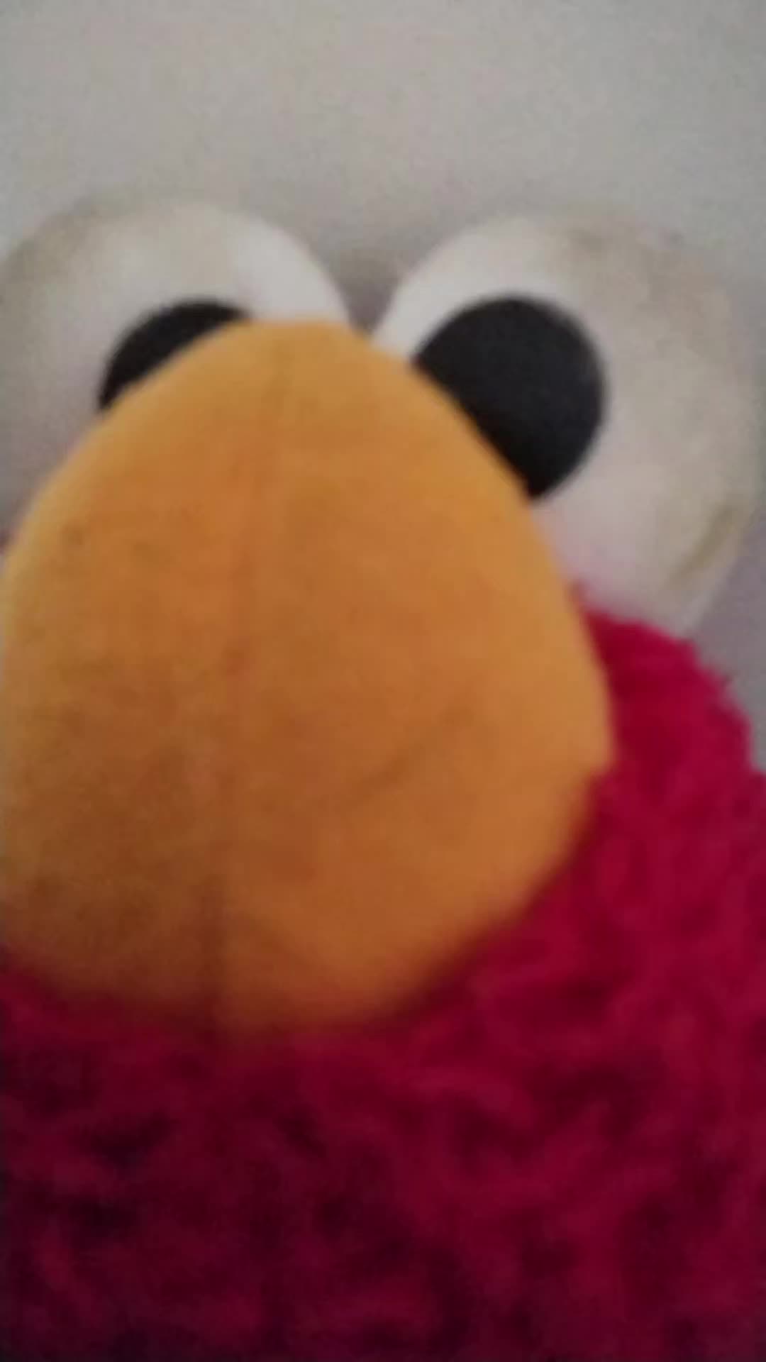 @Kermit The Frog Tiktok