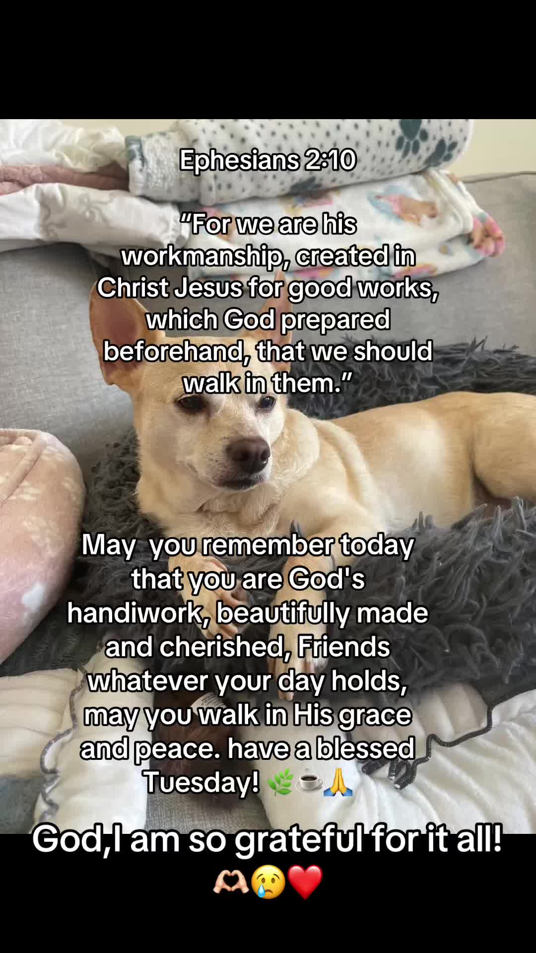 @Happy@Mama
