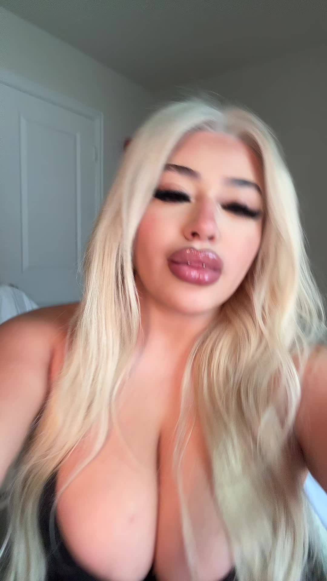@perlasaharr
