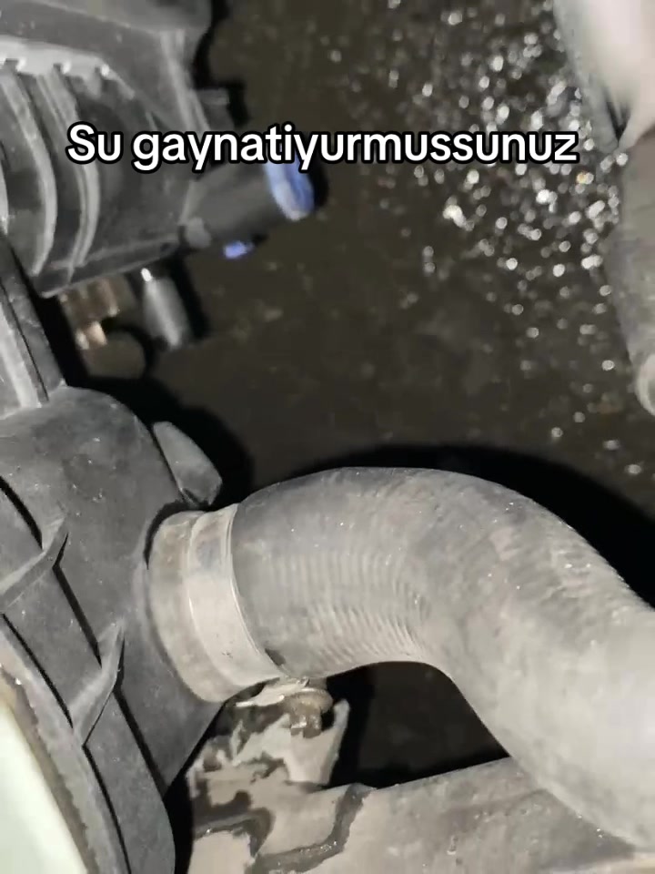 @𝐋𝐗𝟑𝐍𝐍𝐍