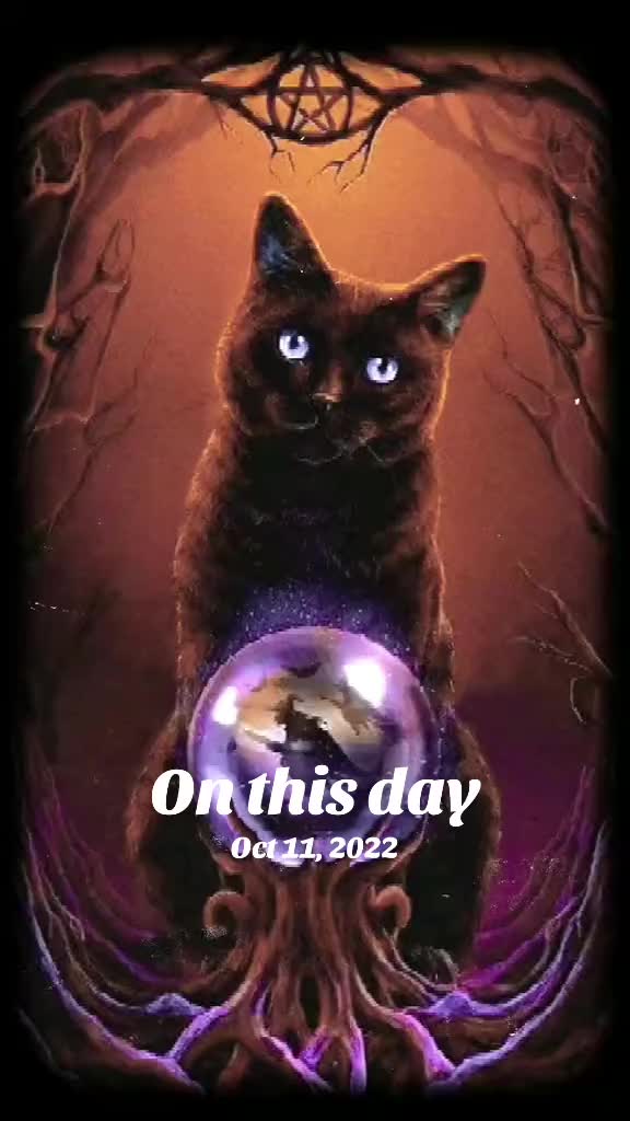 @Bunnie Boo Boo. 🐇🐇🐰🐾🐾 77