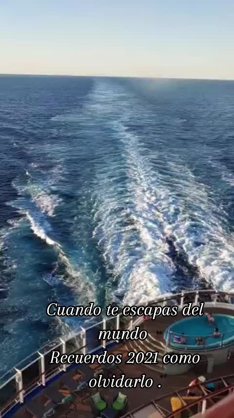 @Cecilia Machado