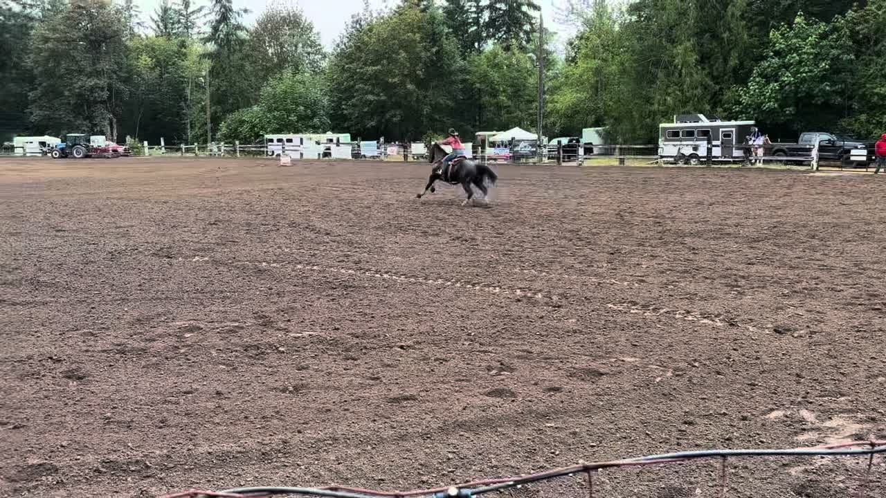 @TF Performance Horses