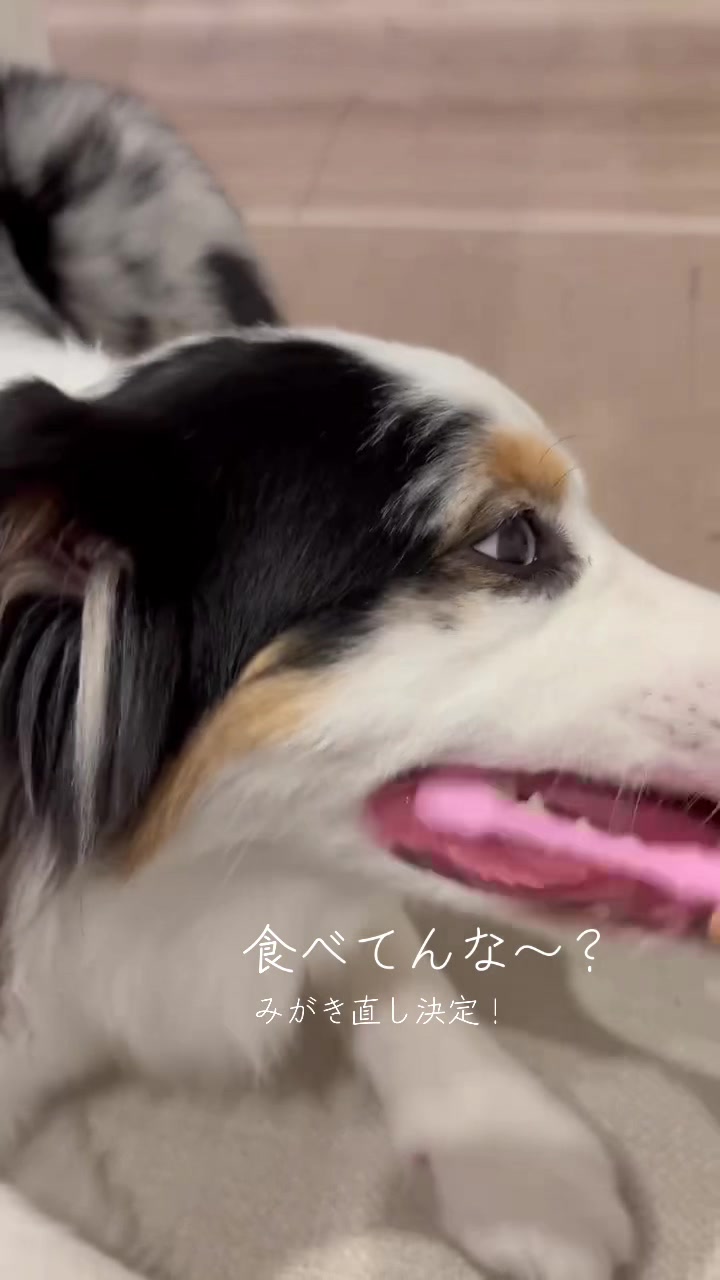 @サン&タマ