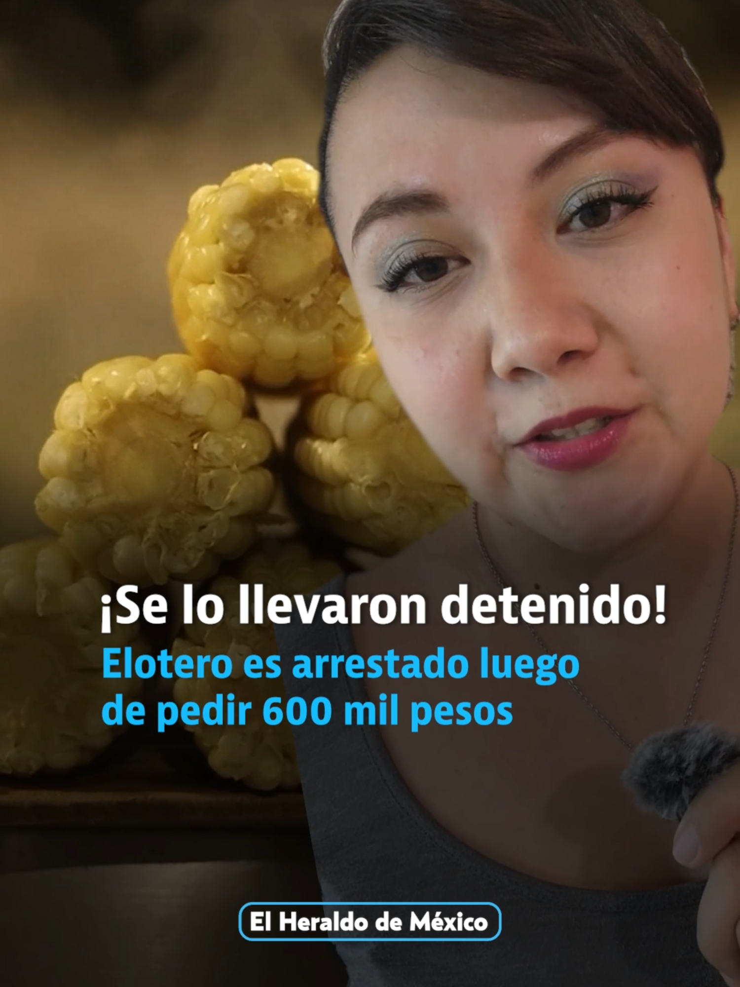 @elheraldodemexico