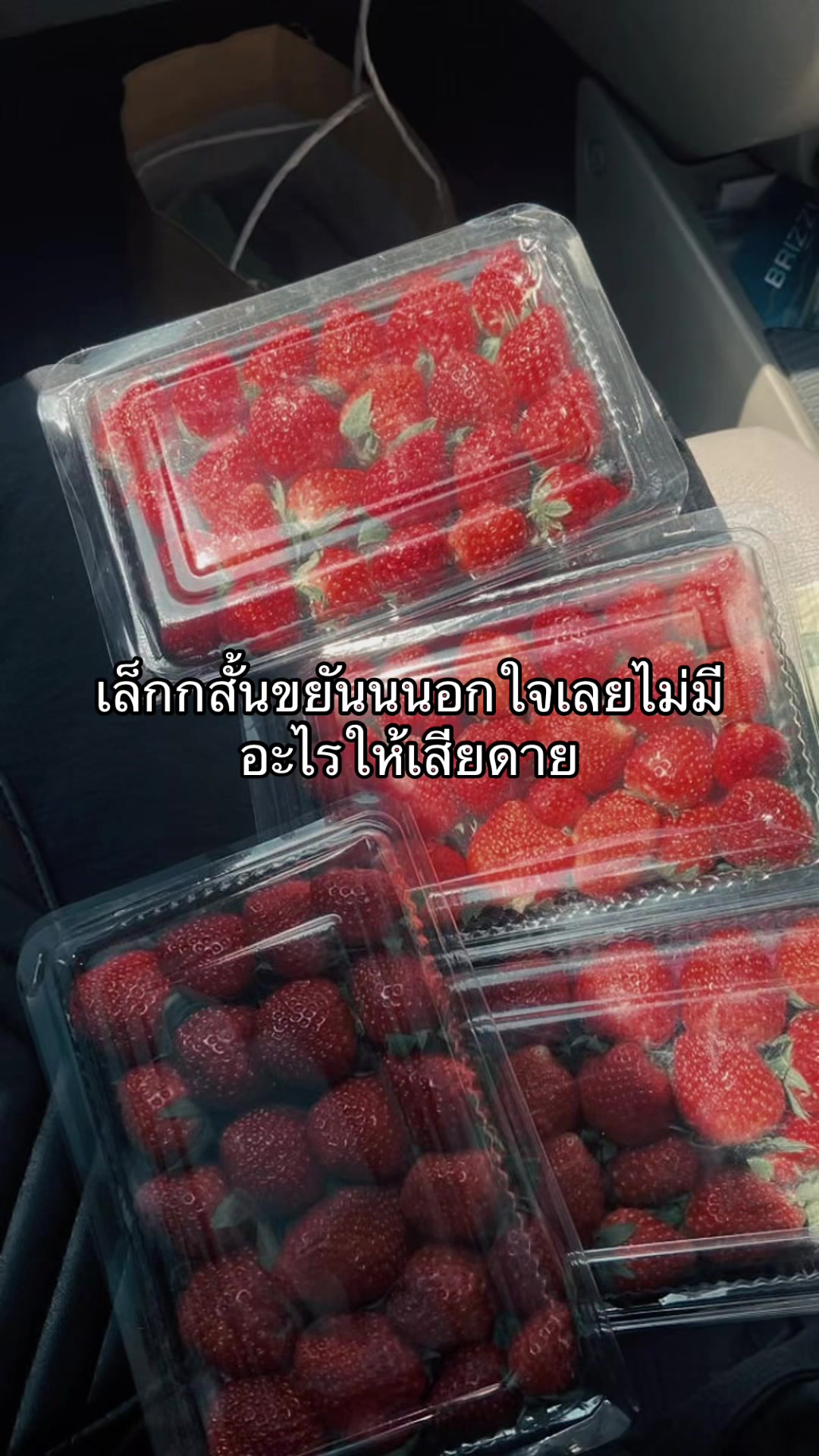 @ตามอารมณ์🖤มีช่องเดียว‼️