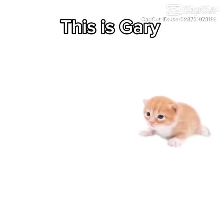 @☆౨ৎ⋆𝚓𝙰𝚉𝙼𝙸𝙽𝙴࣭⭑ֶָ֢❀☆ﾟ