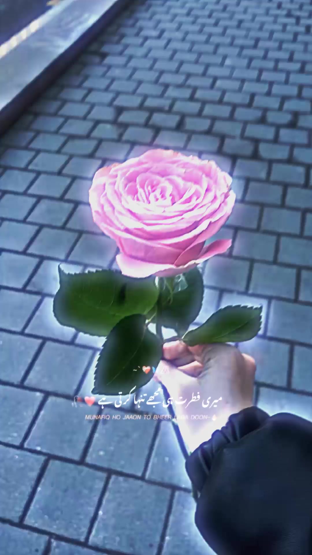 @🩺 نور 🥀❣️!!