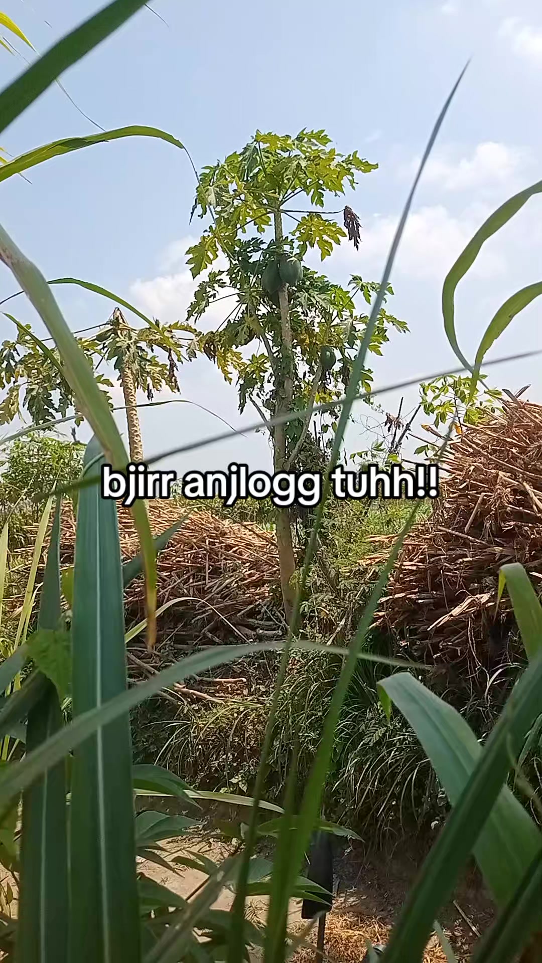 @smuabarang_ada