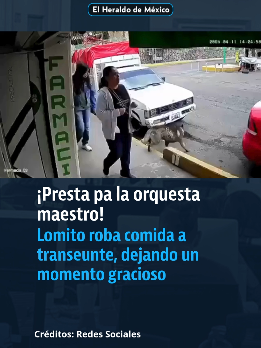 @elheraldodemexico