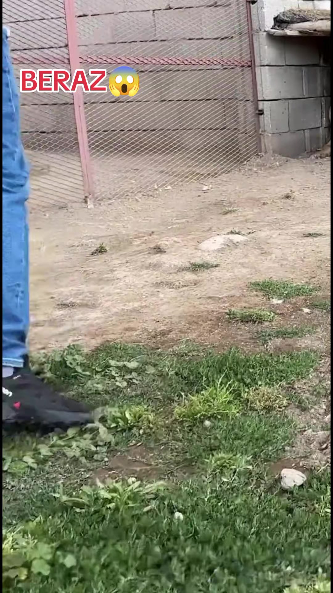 @Yusuf saldık