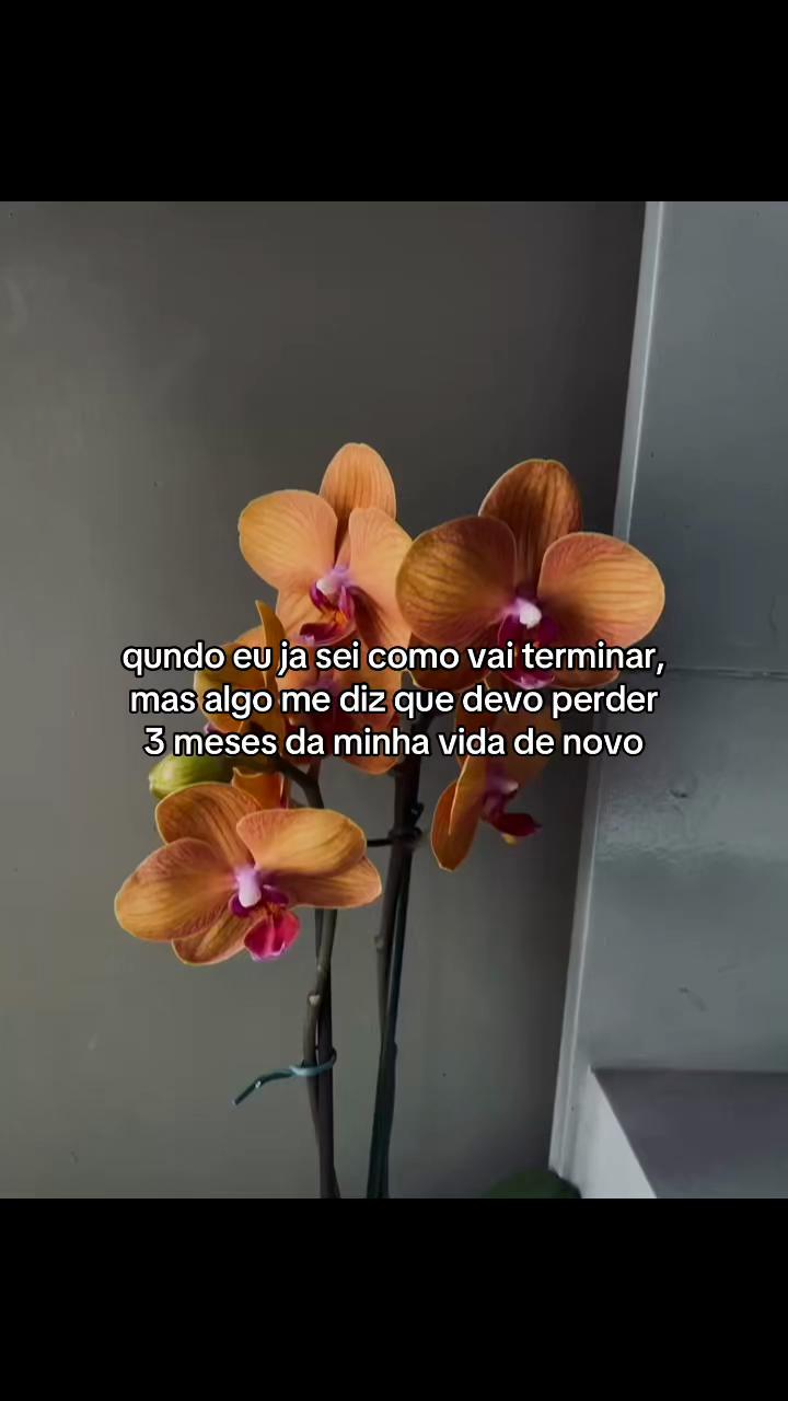 @Volta vida