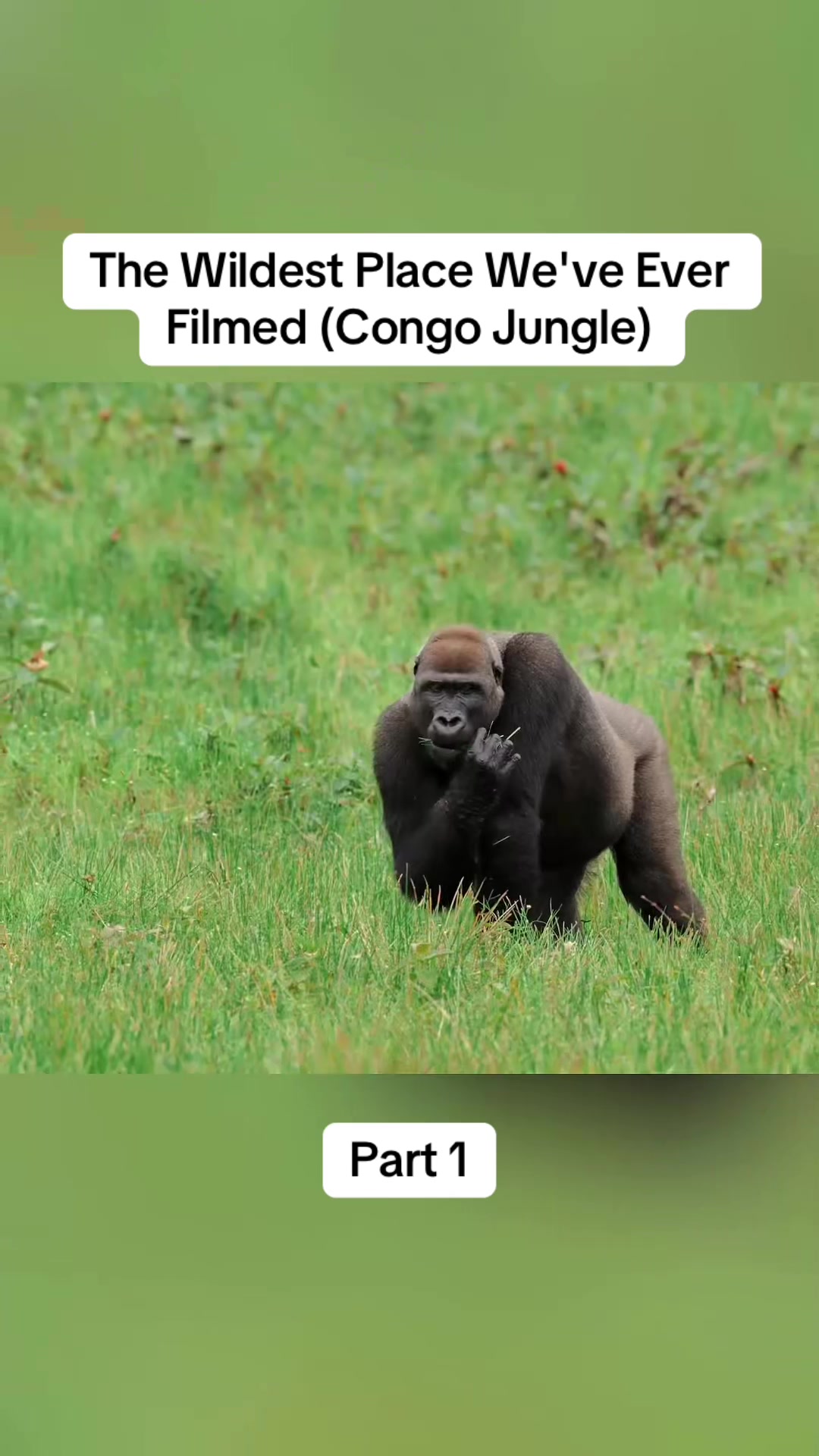 @DonkiGeo