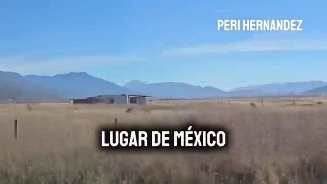 @Cuentos de Terror