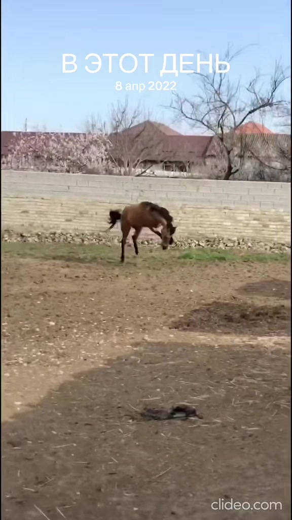 @MakvinStud