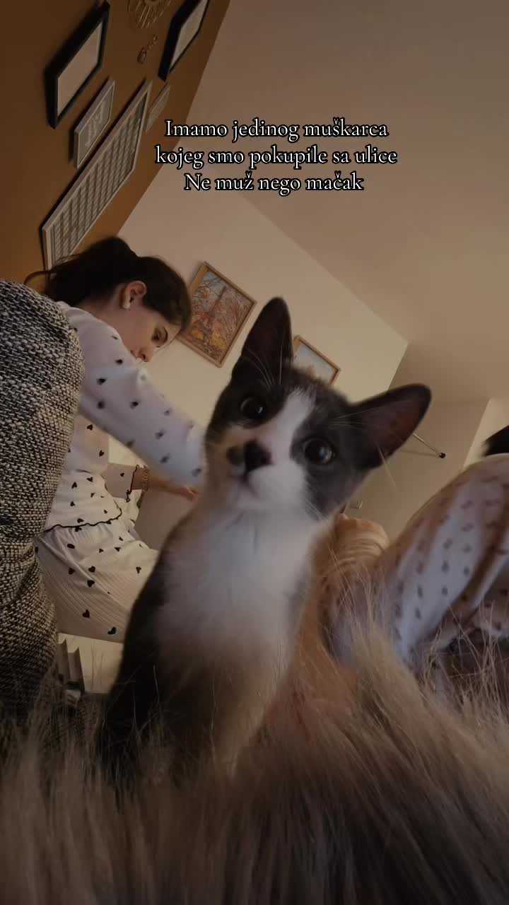@Ti&Scaron;a