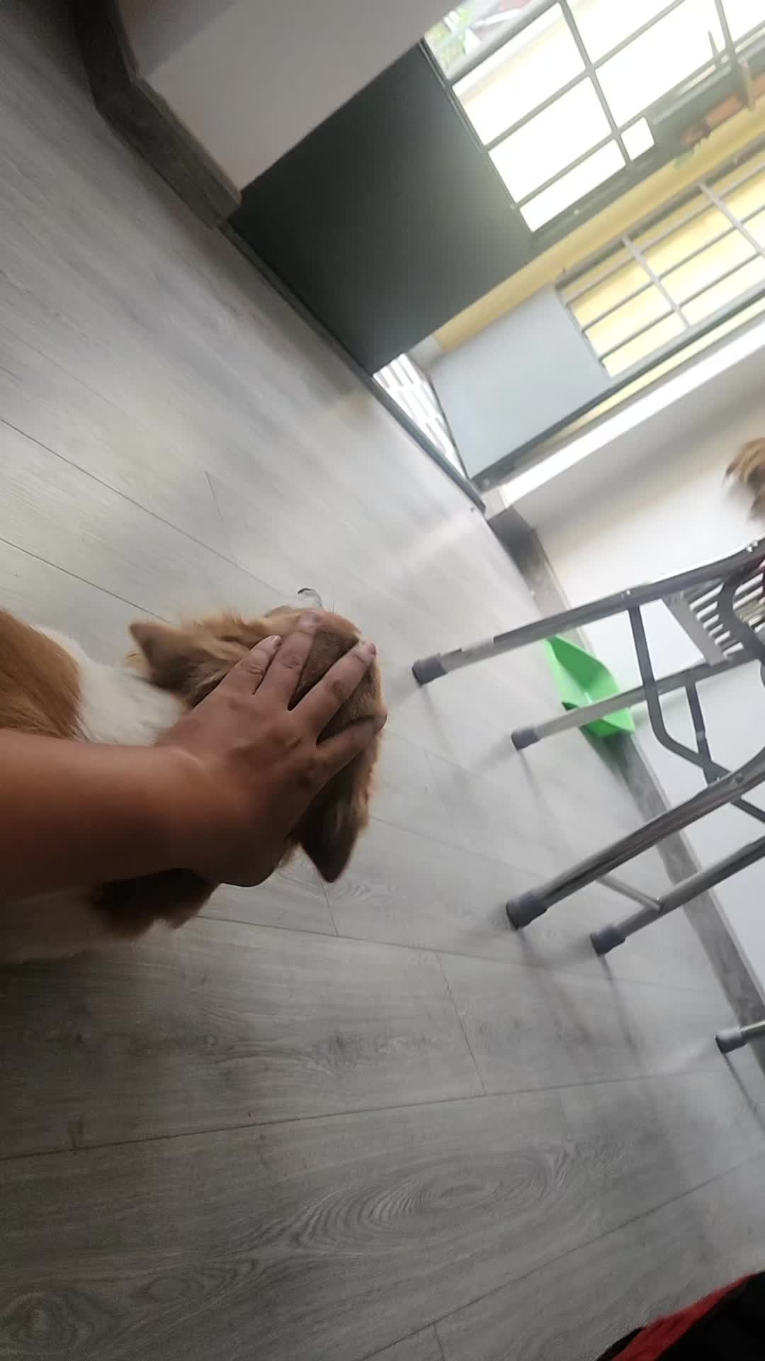 @Nô lệ SDSOFT