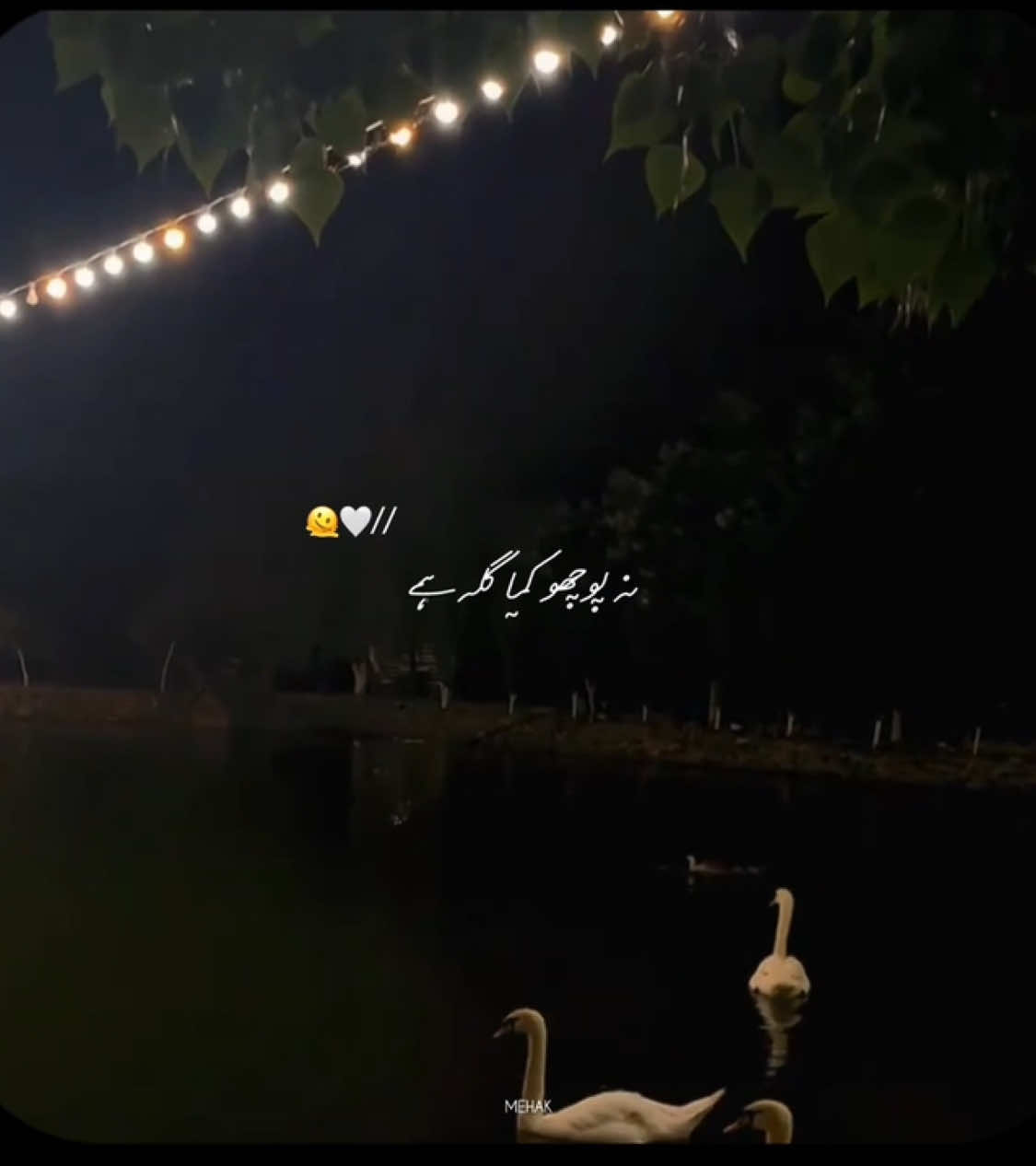 @م ❤️🩹