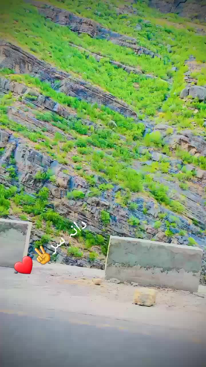 @❤️ThorbaaZ❤️
