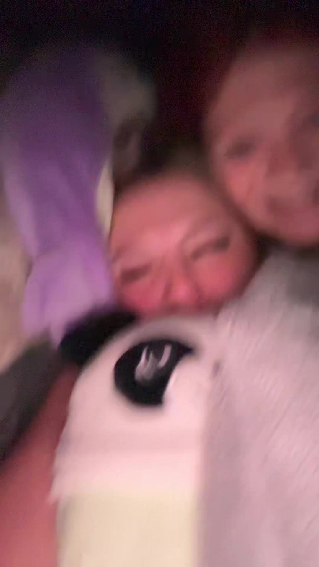 @bear0908