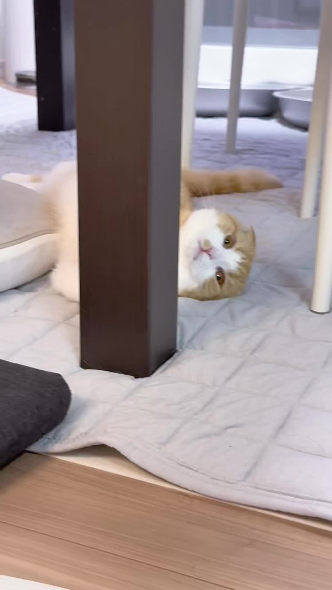 @マロン