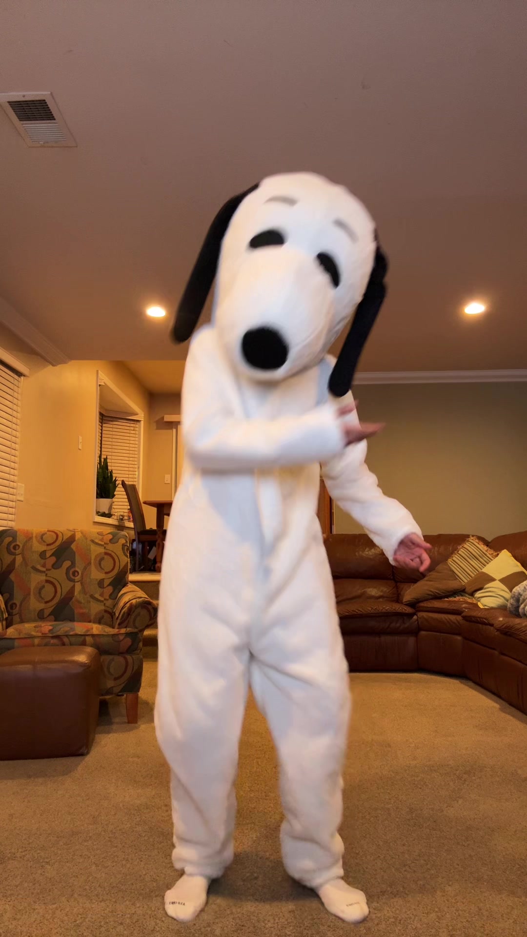 @jerseyyjoe