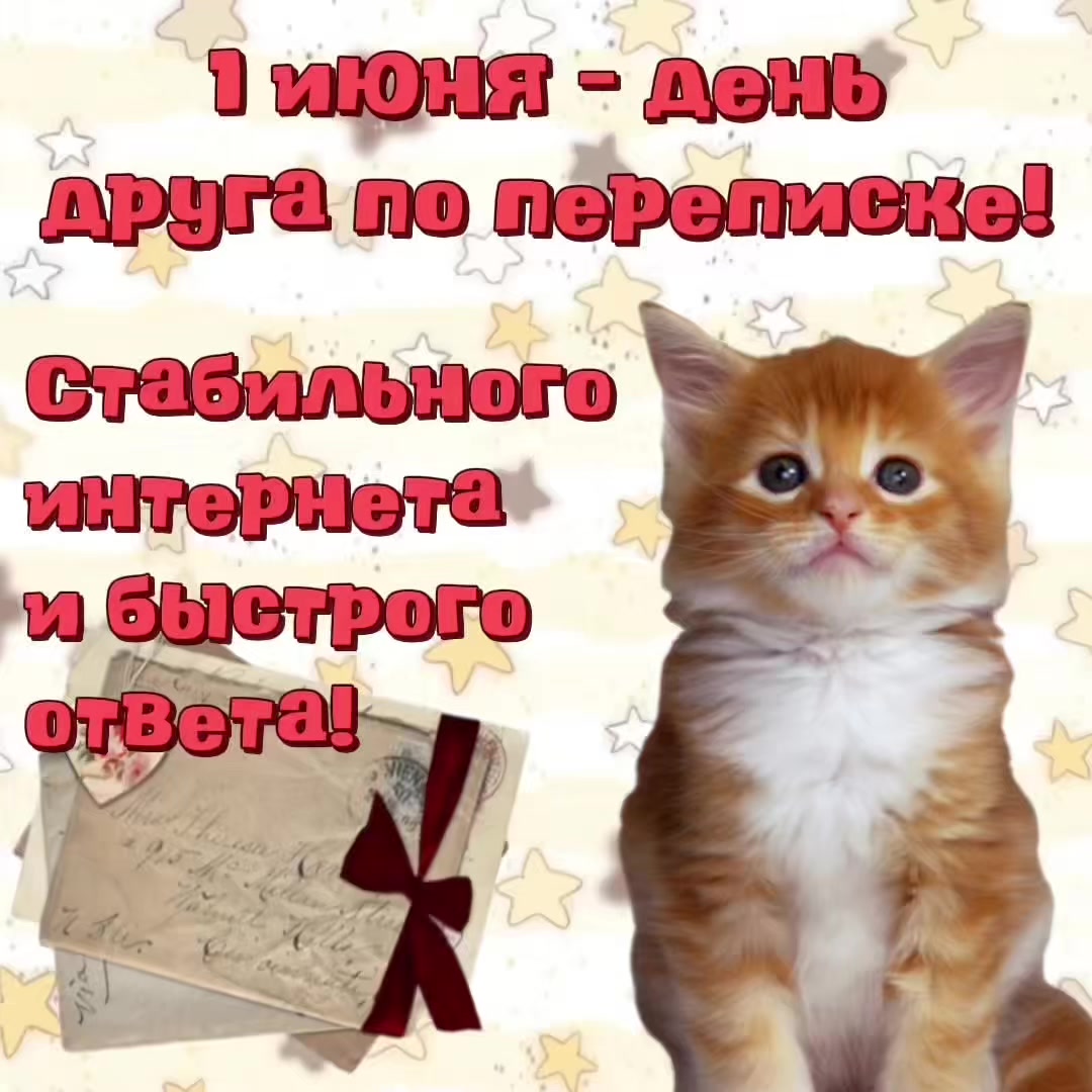 @котики на каждый день