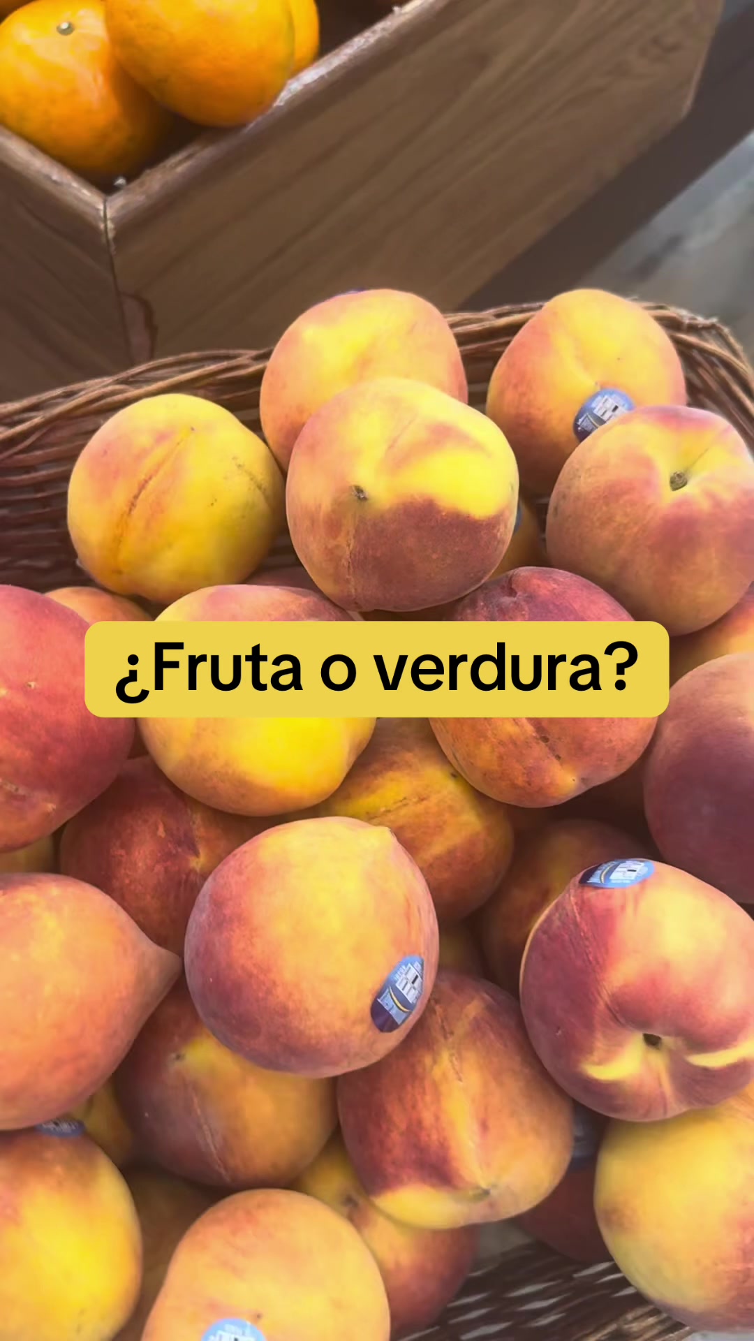@ELENKA SPANISH LESSONS