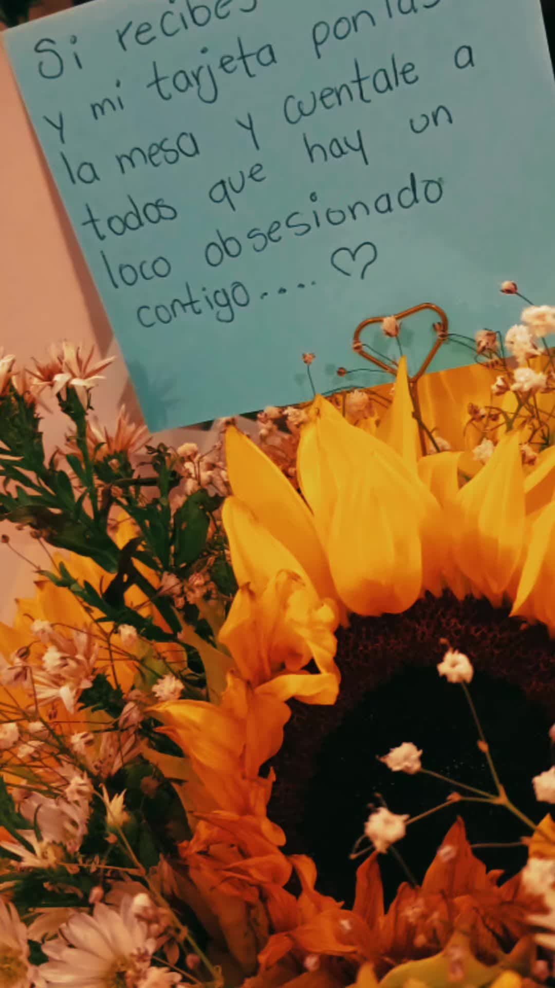 @mily 🌻