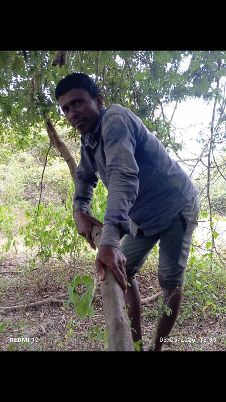 @Kirubakaran