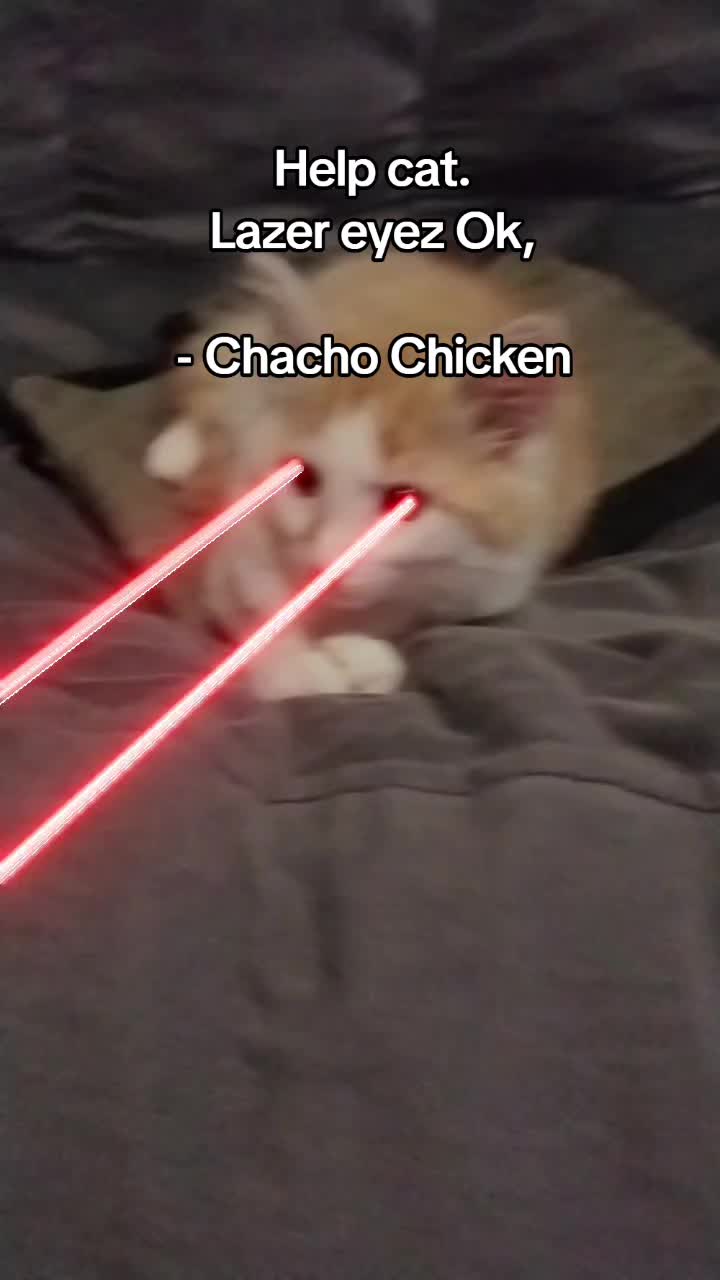@chachochicken