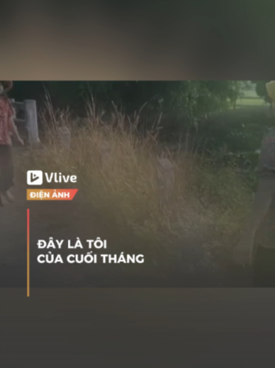 @Vlive Điện Ảnh