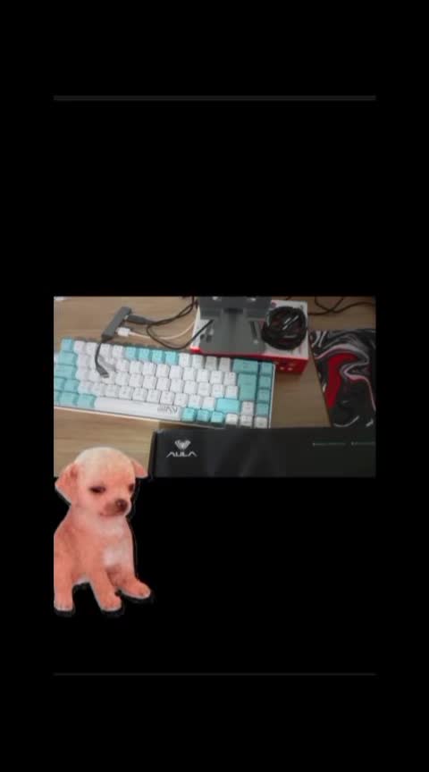 @Marcianito