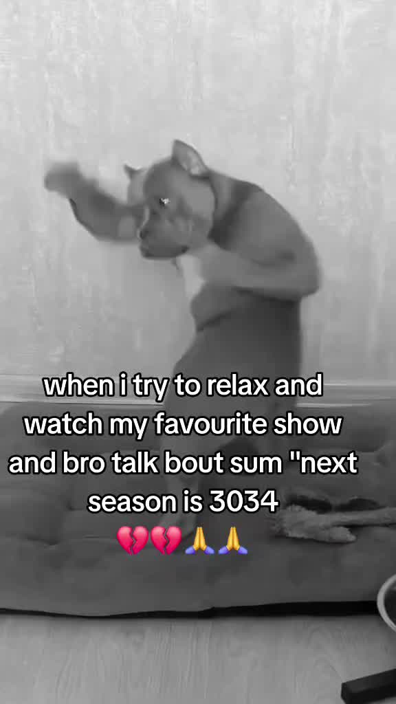 @jinbeany