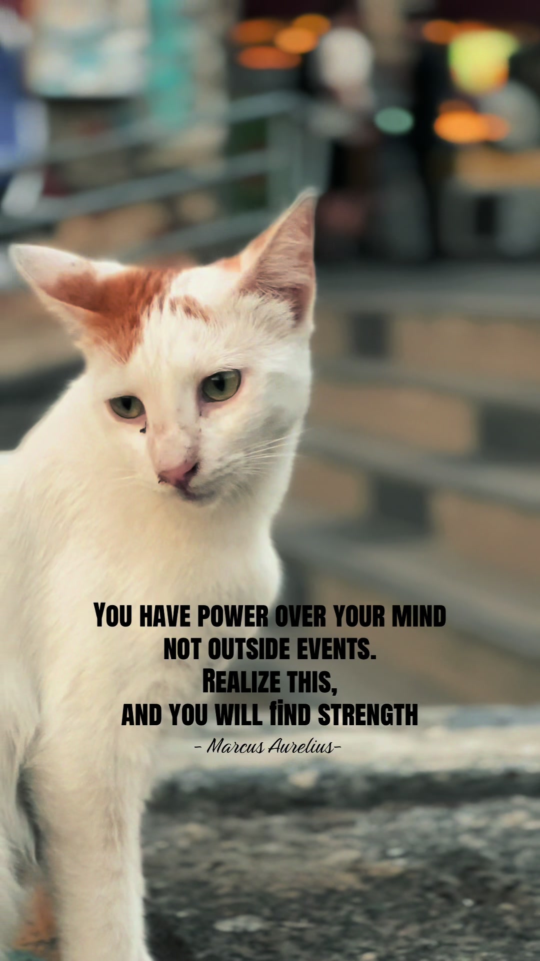 @auntypositivity